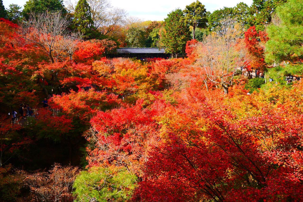 Japaning Hotel Libre Tofukuji Kiotó Kültér fotó